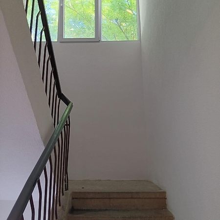 Apartman Sonja Dubrovnik Exterior foto